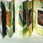 concertina-frontbook