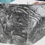 JudyBourke_HandCut_Cover