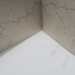 Billy Goat Hill.LR.3